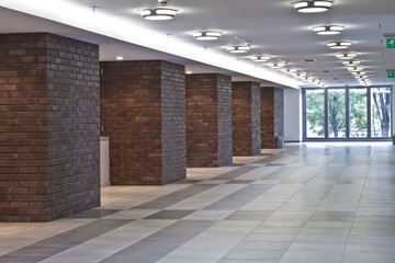 Hol z płytki Adelajdy gładkiej